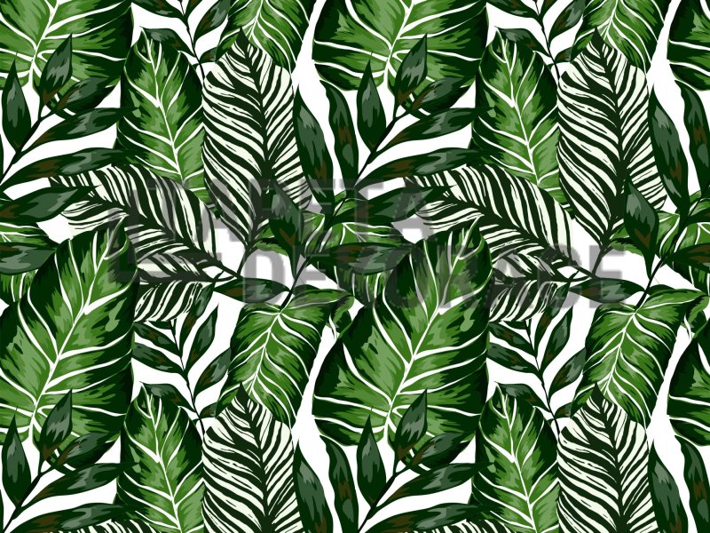 Samolepicí fólie zelené listy, 67,5 cm x 2 m, pokojové rostliny 55788 / 14125 kusová dekrativní samolepící tapeta Venilia / Gekkofix