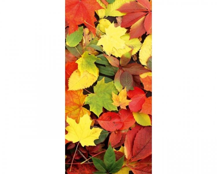 Samolepicí fototapeta na podlahu Podzimní listí FL85-004 / Fototapety Dimex (85 x 170 cm)