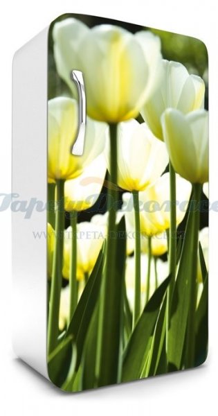 Samolepicí fototapeta na ledničku Tulips FR120-026 / Fototapety na lednice Dimex (65 x 120 cm)