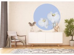 Samolepicí fototapeta Bílá orchidej 140x140 cm CR3300 Orchid on Blue / kruhové samolepicí vliesové dekorace La Form (ø 140 cm) AG Design