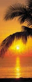 Fototapeta / Fototapety 2-dílné (92 x 220cm) Komar Palmy Beach Sunrise 2-1255