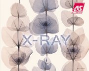 Jemné květinové motivy díky moderním barevným odstínům navodí uvolňující meditativní atmosféru i v interieru pro mladé - tapety z katalogu X-Ray - tapety s květinovými vzory od AS Création