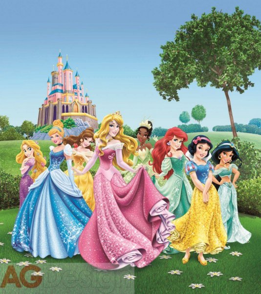 Fototapeta Princezny FTDNXL-5112 / Fototapety pro děti 2 dílné Disney Princess (180 x 202cm) AG Design