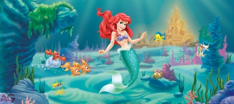 Vliesová fototapeta dětská mořská víla Ariel FTDNH-5320 / Dětské obrazové tapety na zeď Disney Ariel (202 x 90 cm) AG Design