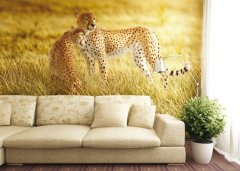 Fototapeta Leopard