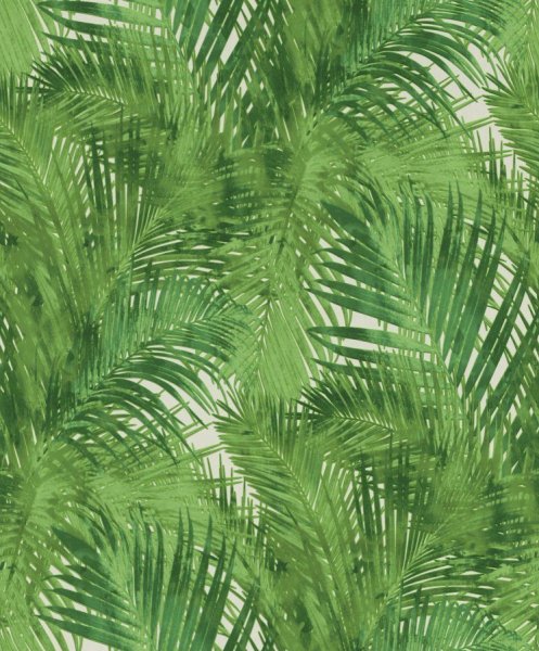 Vliesová tapeta 805314 zelené palmové listy / Tapety na zeď Hotspot (0,53 x 10,05 m) Rasch