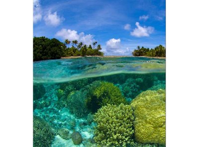 Vliesová fototapeta Korálový útes 225 x 250 cm + lepidlo zdarma / MS-3-0200 vliesové fototapety na zeď DIMEX