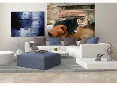 Obrazová tapeta Kočka a pes - vliesová fototapeta DIMEX LINE