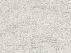 Tapeta beton, stěrka, barva šedá, bílá, strukturální vliesové tapeta z kolekce Andy Wand od výrobce Rasch