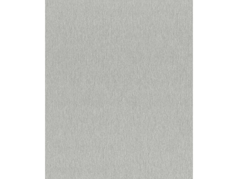 Vliesová tapeta jednobarevná šedá 608670 / Tapety na zeď Sky Lounge (0,53 x 10,05 m) Rasch