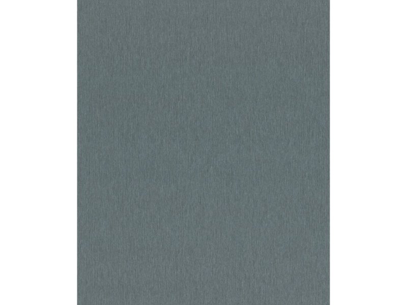 Vliesová tapeta jednobarevná tmavě šedá 608687 / Tapety na zeď Sky Lounge (0,53 x 10,05 m) Rasch