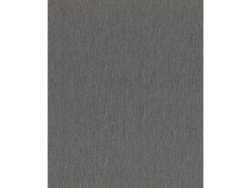 Vliesová tapeta jednobarevná tmavě šedá 608694 / Tapety na zeď Sky Lounge (0,53 x 10,05 m) Rasch