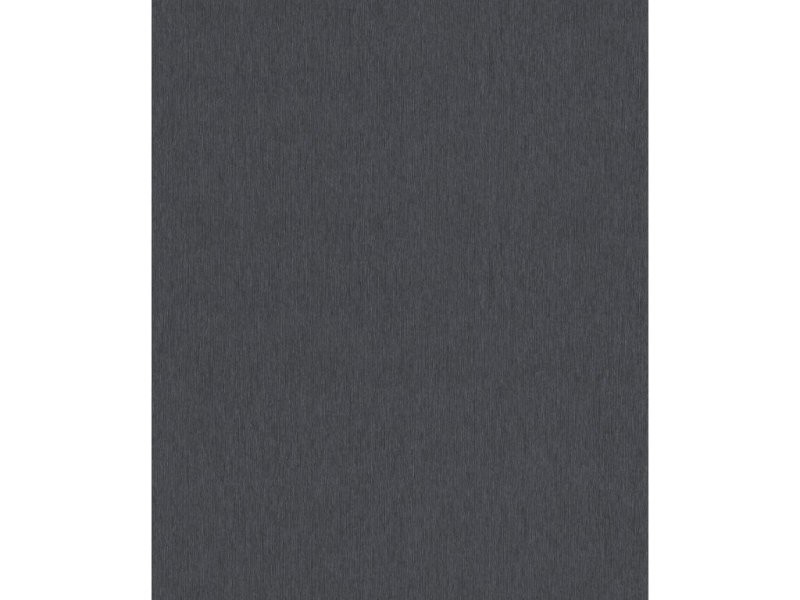 Vliesová tapeta jednobarevná černá 608724 / Tapety na zeď Sky Lounge (0,53 x 10,05 m) Rasch