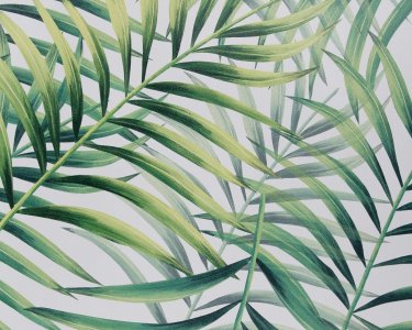 Zesílená samolepicí fólie zelené listy, 90 cm x 2,60 m 54940 / Prémiová samolepící tapeta Leaves Venilia