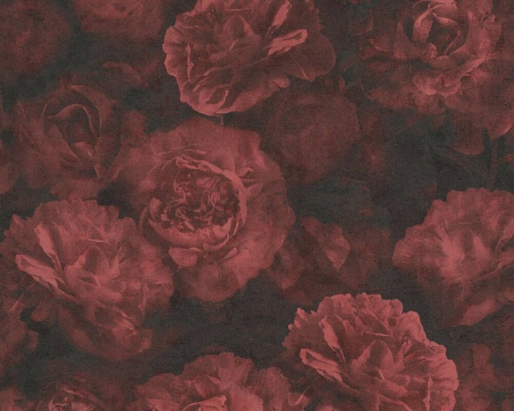 Vliesová tapeta Květy, květiny - barva červená, černá 374024 / Tapety na zeď 37402-4 New Studio 2.0 (0,53 x 10,05 m) A.S.Création