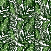Dekorativní samolepicí tapeta zelené listy, pokojové rostliny - HOUSE PLANTS, 67,5 cm x 2 m - značkové samolepící tapety Venilia Gekkofix