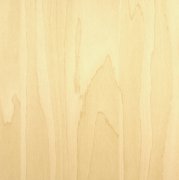 Samolepicí fólie bříza - dokonalá imitace dřeva - samolepicí tapeta v šířce 67,5 cm, cena za 1 běžný metr - omyvatelná samolepicí fólii z PVC