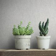 Vliesová tapeta šedá betonová stěrka 0,53 x 10,05 m / Tapety na zeď City Romance 35137 Marburg