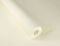 Samolepicí tapeta bílá 0,53 x 6 m / Tapety na zeď 372205 Rasch