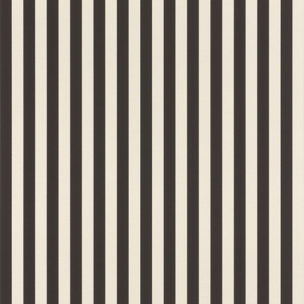 Samolepicí tapeta Lenny černé a bílé pruhy 0,53 x 6 m / Tapety na zeď 372120 Rasch