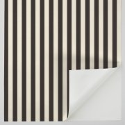 Samolepicí tapeta Lenny černé a bílé pruhy 0,53 x 6 m / Tapety na zeď 372120 Rasch