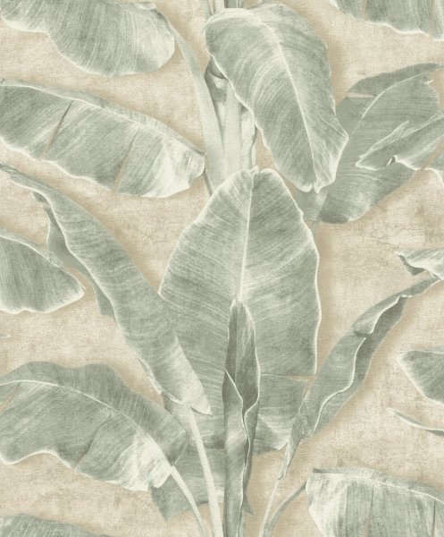 Samolepicí tapeta Rio, zelené banánové listy, 0,53 x 6 m / Tapety na zeď 371727 Rasch