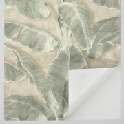 Samolepicí tapeta zelené banánové listy, 0,53 x 6 m / Tapety na zeď 371727 Rasch