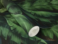 Samolepicí tapeta Rio, zelené banánové listy, 0,53 x 6 m / Tapety na zeď 370034 Rasch