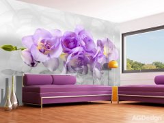 Fototapeta 3D fialová orchidej