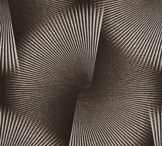 Vliesová tapeta - 3D efekt geometrická černá, metalická (0,53 x 10,05 m) 792523 / Tapety na zeď 79252-3 The TrendSpectrum A.S.Création