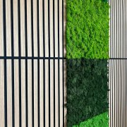 Akustický lamelový panel pravé dřevo, světlá dubová dýha na filcovém podkladu, rozměr 52 x 52 cm z kolekce Modular Wall A.S.Création