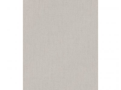 Vliesová tapeta 484564 jednobarevná šedá / Tapety na zeď Florentine III (0,53 x 10,05 m) Rasch