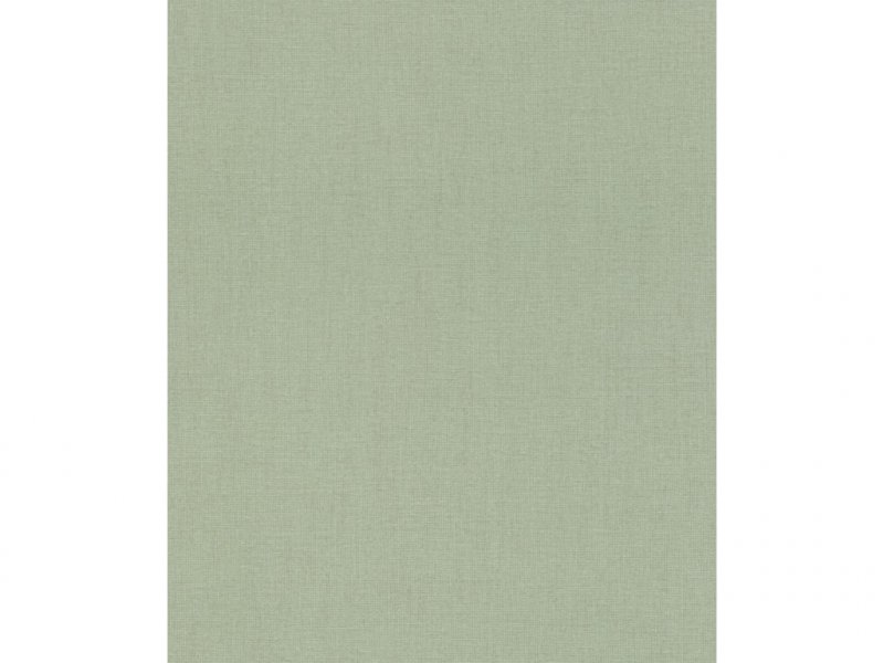 Vliesová tapeta 484588 jednobarevná zelená / Tapety na zeď Florentine III (0,53 x 10,05 m) Rasch