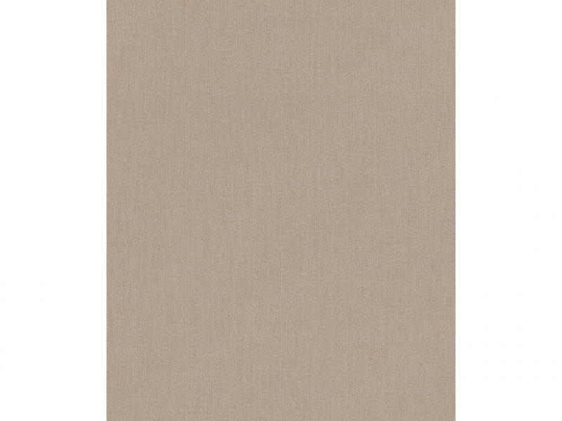 Vliesová tapeta 484656 jednobarevná hnědá / Tapety na zeď Florentine III (0,53 x 10,05 m) Rasch