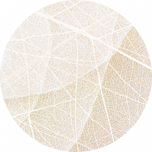 Samolepicí fototapeta Žilky listů 70x70 cm CR3231 White Paths / kruhové samolepicí vliesové dekorace La Form (ø 70 cm) AG Design
