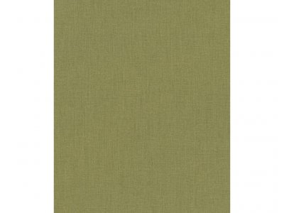 Vliesová tapeta 484755 jednobarevná zelená / Tapety na zeď Florentine III (0,53 x 10,05 m) Rasch