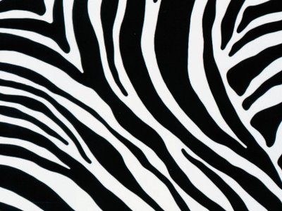 Samolepící tapeta Zebra, černá, bílá, 45 cm x 2 m, 10132 / kusová samolepicí fólie a tapety Ribben Venilia / Gekkofix