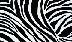 Samolepicí tapeta ZEBRA černobílá, 45 cm x 2 m - značkové samolepící tapety Venilia Gekkofix