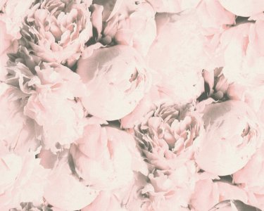 Vliesová tapeta Pivoňky, krémové, růžové květiny 373982 / Tapety na zeď 37398-2 New Studio 2.0 (0,53 x 10,05 m) A.S.Création