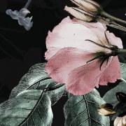 kruhová samolepicí vliesová fototapeta D1-030 - Čarovné květiny z kolekce Komar Dots - působivé detaily