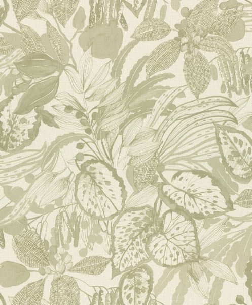 Vliesová tapeta zelené listy, rostlinný vzor (0,53 x 10,05 m) / Vliesové tapety na zeď Liverna 554922 Rasch