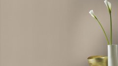 Vliesová tapeta jednobarevná béžová (0,53 x 10,05 m) / Vliesové tapety na zeď Liverna 555868 Rasch