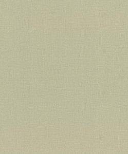 Vliesová tapeta jednobarevná zelená (0,53 x 10,05 m) / Vliesové tapety na zeď Liverna 555998 Rasch
