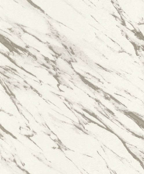Vliesová tapeta bílá, stříbrná, mramor (0,53 x 10,05 m) / Vliesové tapety na zeď My Moments 320909 Rasch