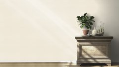 Vliesová tapeta béžovo-krémová (0,53 x 10,05 m) / Vliesové tapety na zeď My Moments 350029 Rasch