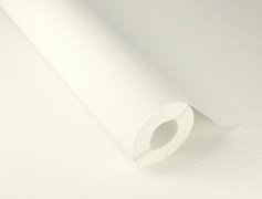 Vliesová tapeta bílá (0,53 x 10,05 m) / Vliesové tapety na zeď My Moments 350111 Rasch