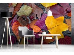 Obrazová tapeta Podzimní listí - vliesová fototapeta DIMEX LINE