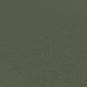 Vliesová tapeta jednobarevná zelená 4002392663 (0,53 x 10,05 m) A.S.Création