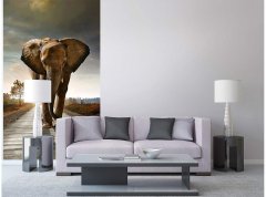 Obrazová tapeta Kráčející slon - vliesová fototapeta DIMEX LINE
