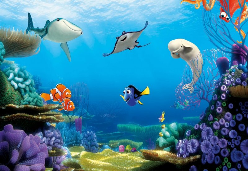 Dětská fototapeta Hledá se Dory 8-497 Disney / Obrazové tapety a fototapety na zeď Komar (368 x 254 cm)